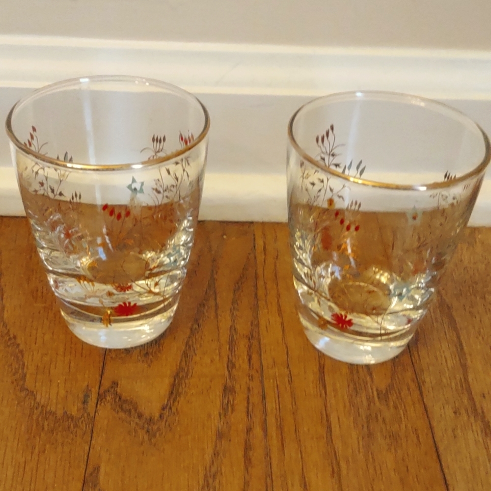 Vintage Floral (2) Barware Glasses